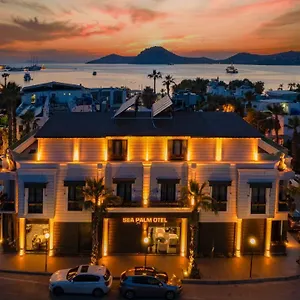 Sea Palm , Yalikavak Turkey