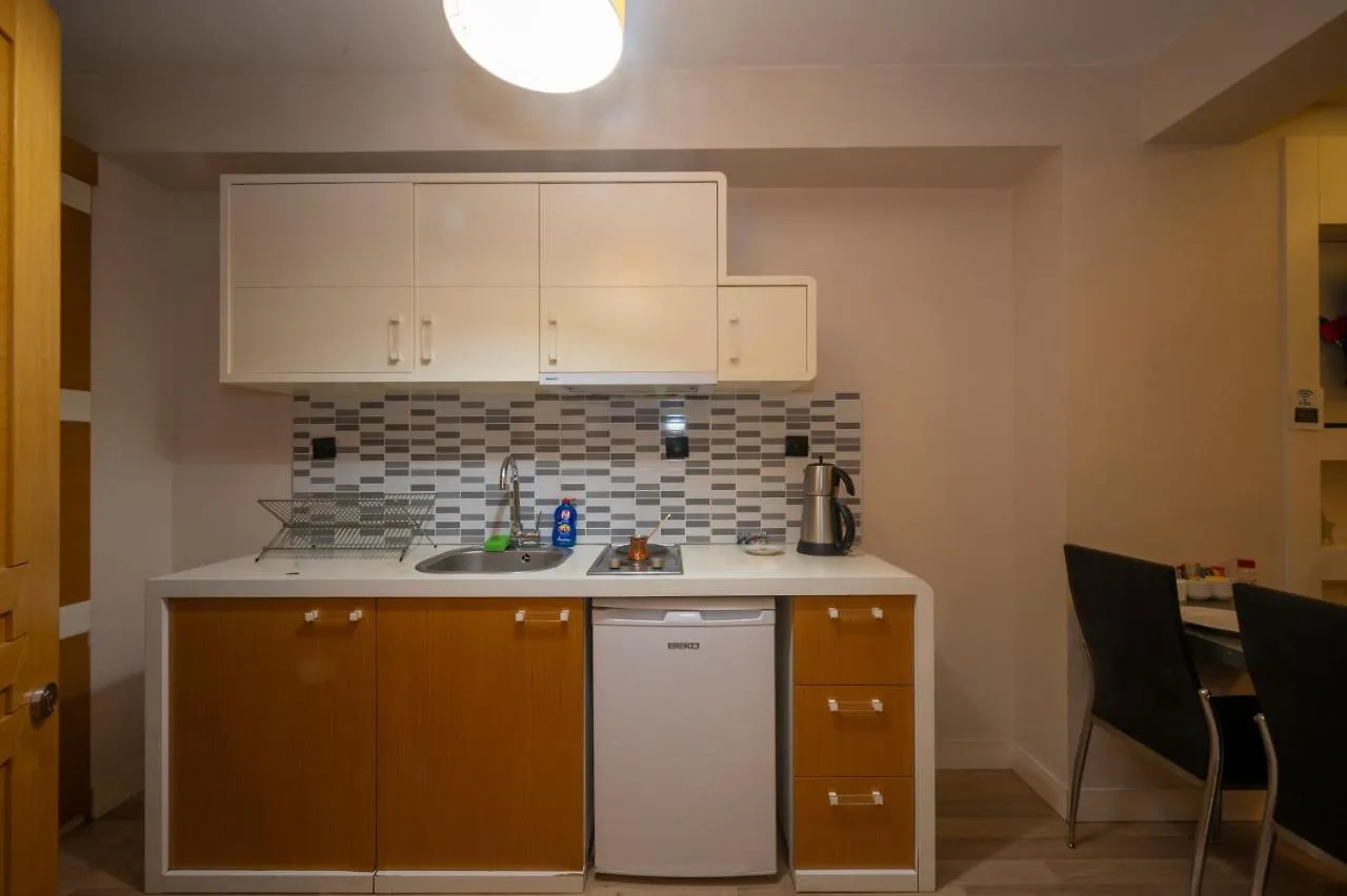 شقة فندقية اسطنبول T-Loft Residence تركيا